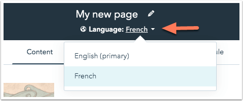 Translate your website pages