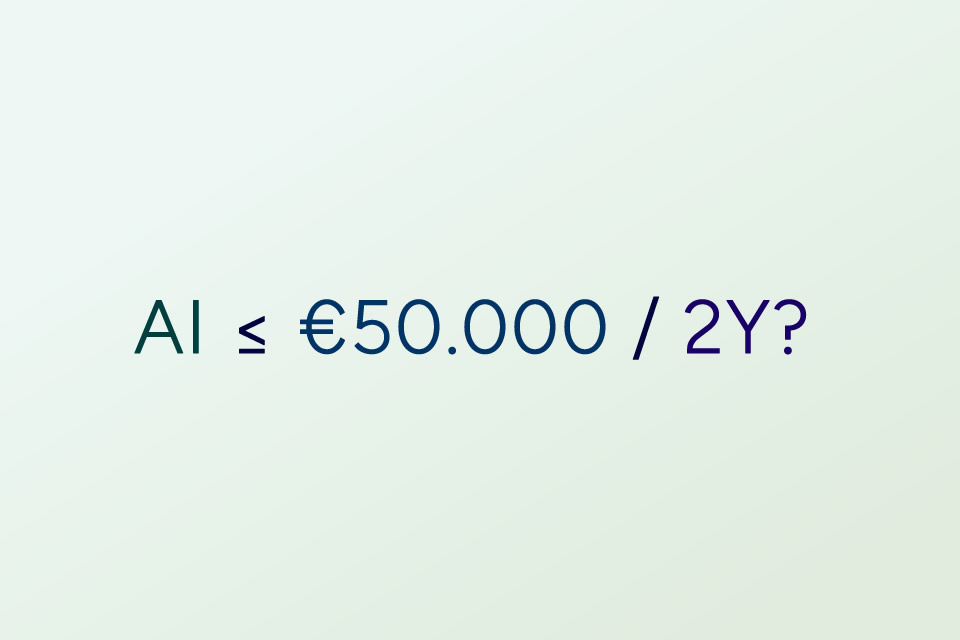 Which AI Project Costs Under 50,000 Euros in 2 Years? Building, Running and Scaling AI Agents