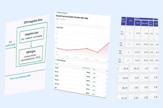 3 Case Studies on Software Integration: ERP&ndash;eCommerce, Price Intelligence, and Financial Software