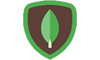 MongoDB